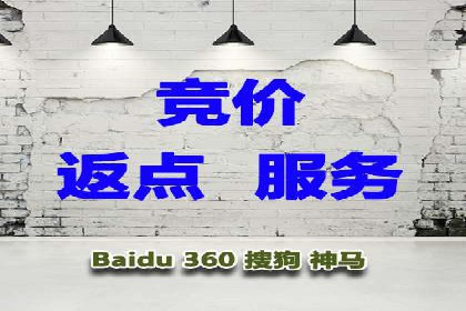 SEM推广案例：揭秘高ROI背后的策略与实践